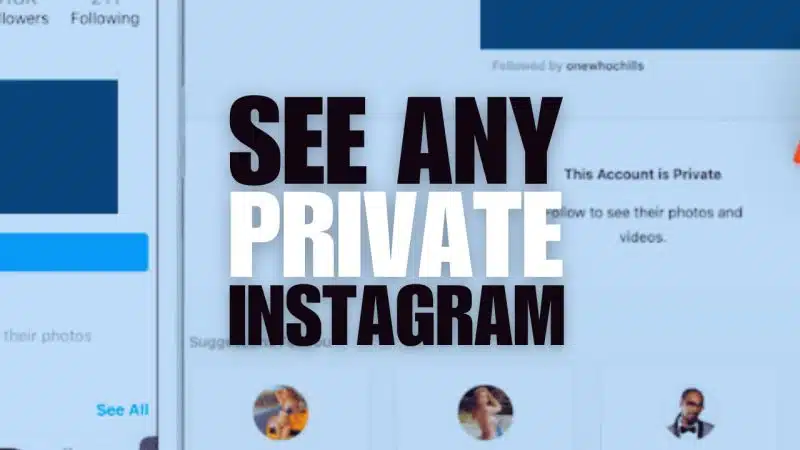 How to View a Private Instagram Account